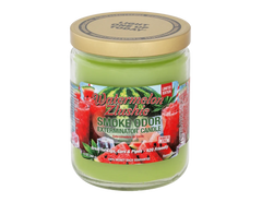 Smoke Odor Exterminator Candle - Over 55 Scents Available!