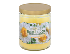 Smoke Odor Exterminator Candle - Over 55 Scents Available!