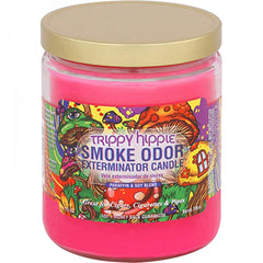 Smoke Odor Exterminator Candle - Over 55 Scents Available!