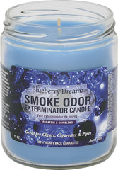 Smoke Odor Exterminator Candle - Over 55 Scents Available!