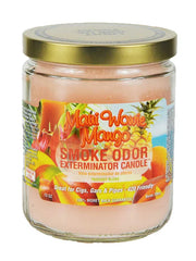 Smoke Odor Exterminator Candle - Over 55 Scents Available!