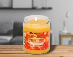 Smoke Odor Exterminator Candle - Over 55 Scents Available!