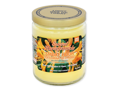 Smoke Odor Exterminator Candle - Over 55 Scents Available!