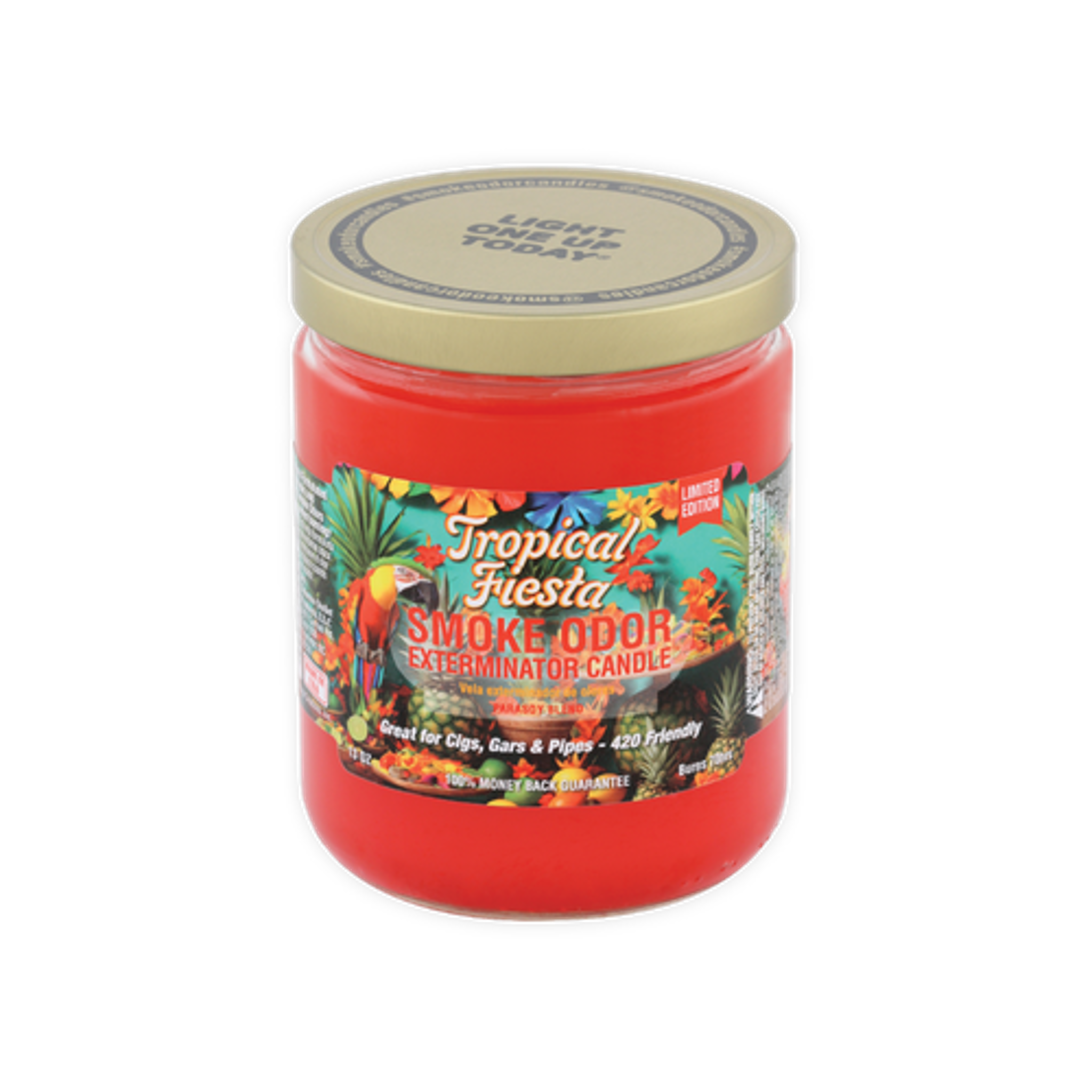 Smoke Odor Exterminator Candle - Over 25 Scents Available!